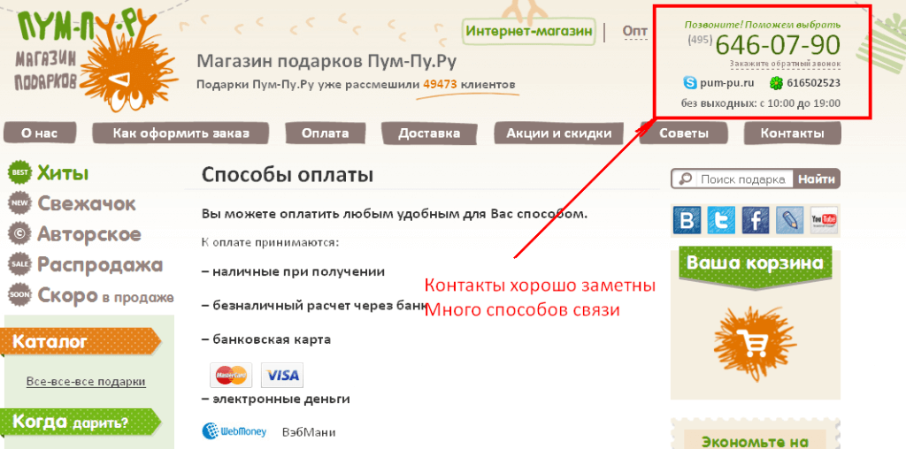 Оценка usability сайта www.pum-pu.ru